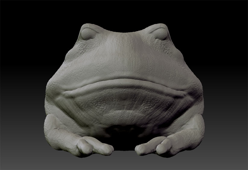 Speed Sculpt Frog 1