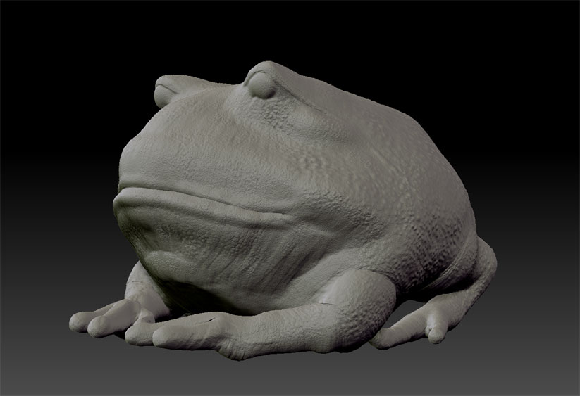 Speed Sculpt Frog 2