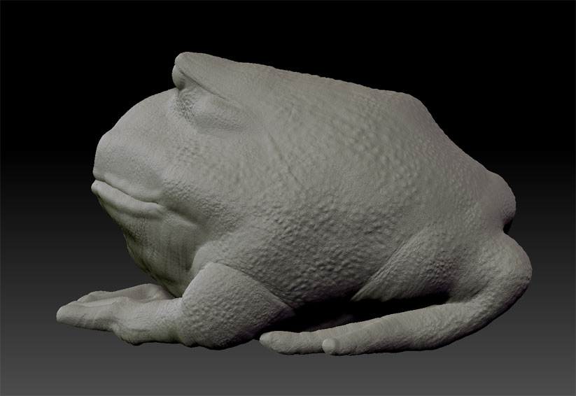 Speed Sculpt Frog 3